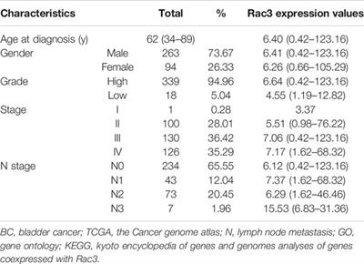 Rac3 Expression and its Clinicopathological Significance in Patients With Bladder Cancer